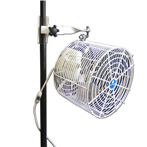 12" White Tent Fan