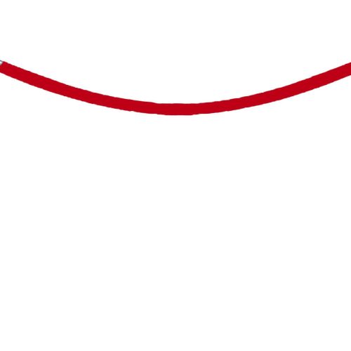 8ft. Red Velour Rope for Stanchion
