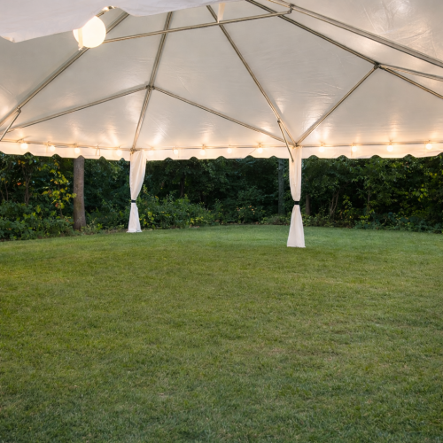 White Globe Lights